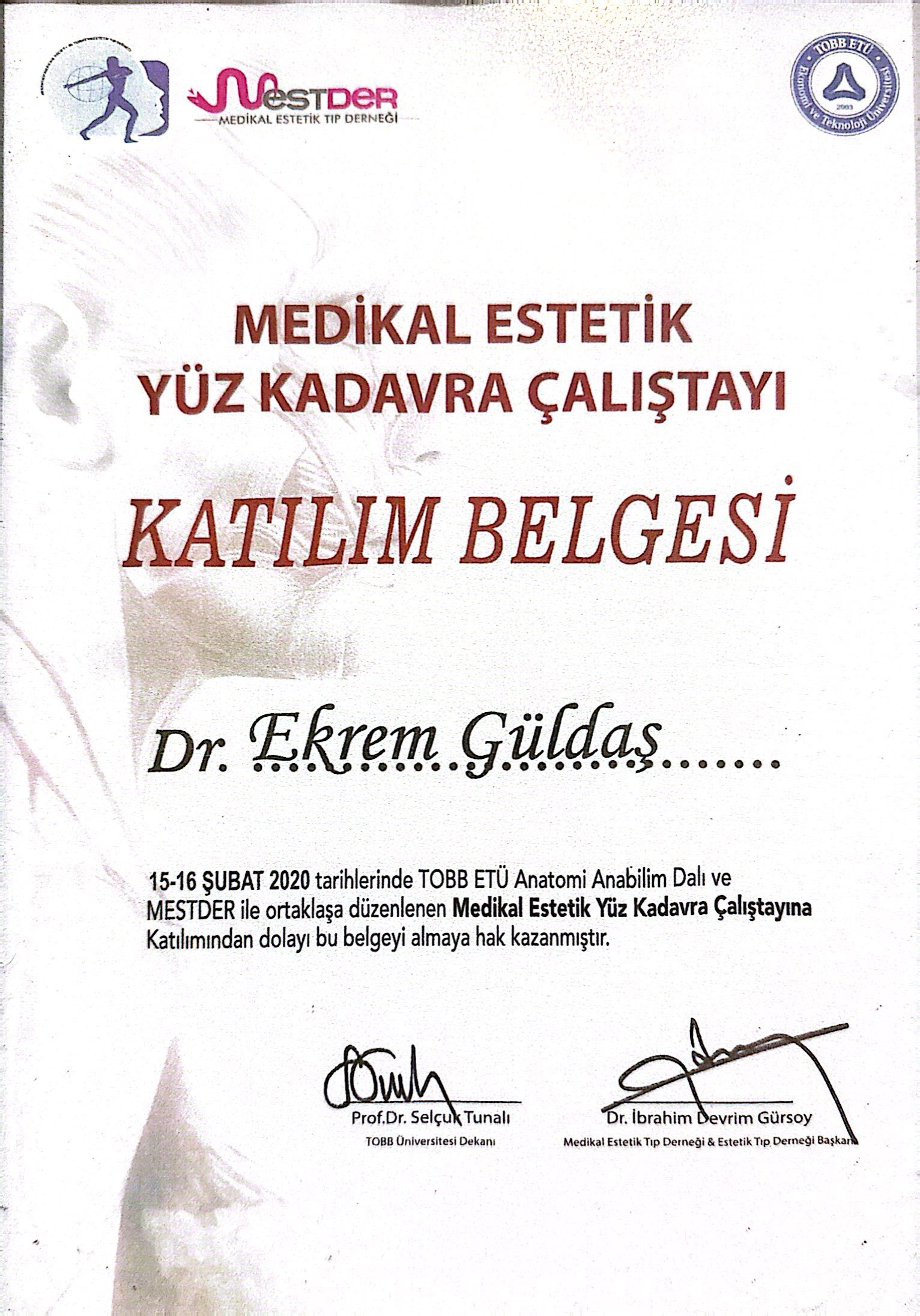 Sertifika 4